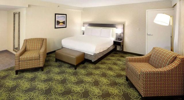 Номер Deluxe Hilton Garden Inn Reagan National Airport