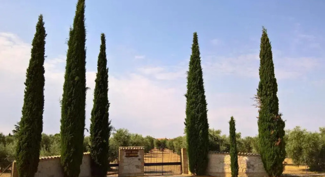Casa Rural la Amistad