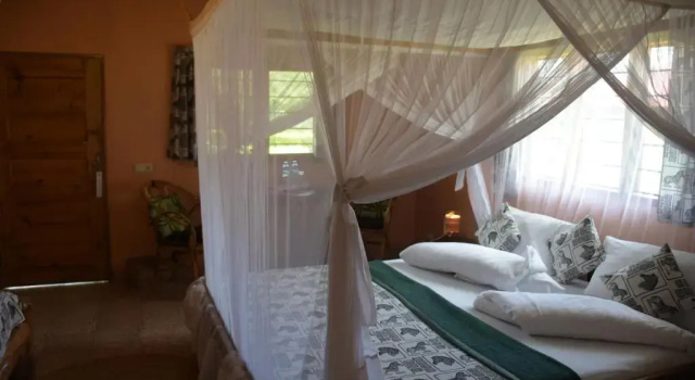 Номер Standard Meru View Lodge