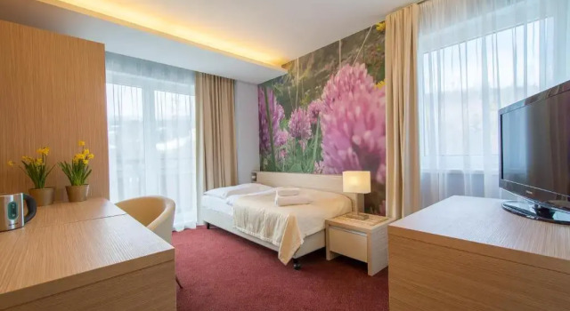 Номер Superior Hotel Slovan