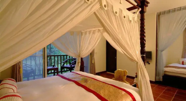 Номер Standard Green Shine B&B