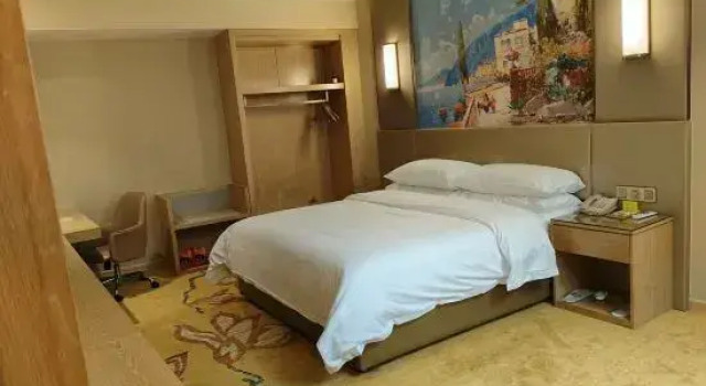 Люкс Deluxe Vienna Hotel (Wuping Wanxing City Store)