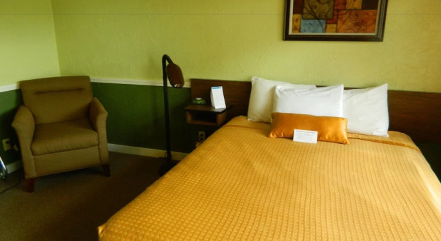 Двухместный номер Economy Цокольный этаж Country Motor Inn