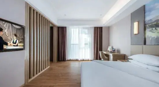 Люкс Superior Vienna International Hotel (Xinyang High Speed Rail East Station Branch)