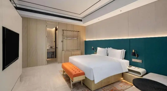 Двухместный люкс Deluxe Hilton Garden Inn Nanjing Hexi Olympic Sports Center
