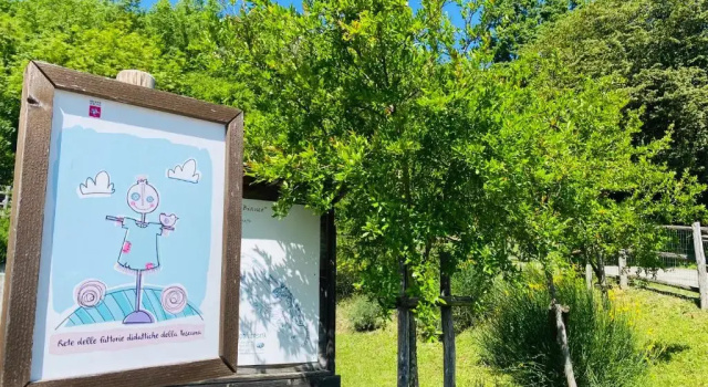 Двухместный номер Standard Agriturismo Montagna Verde Apella