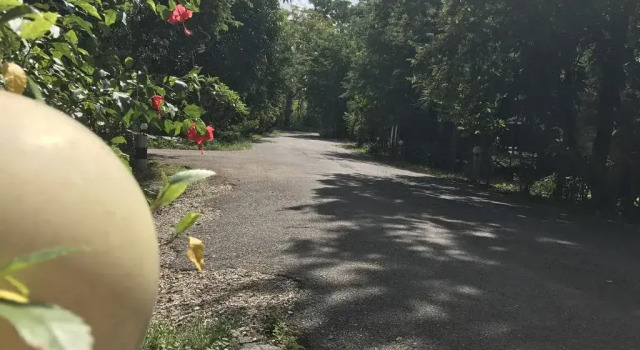 Suan Ngern Resort, Забронировать Курортный отель Курортные отели Chaiyaphum Province, Курортный отель