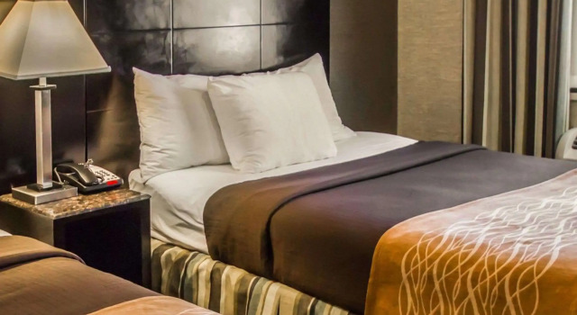 Четырёхместный номер Standard Rodeway Inn Bronx Zoo