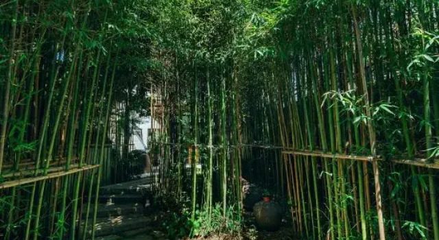 Yan Ru Light Luxury Holiday Hostel, Book Hostel Huzhou 