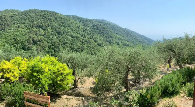 La porta del Sole, Buchen Sie Hotel Seborga Blumenriviera