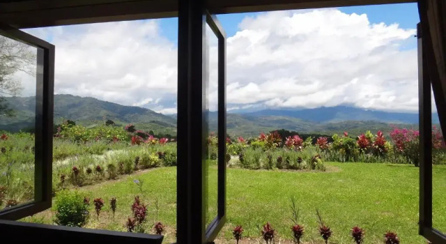 Бунгало Sabah Tea Resort