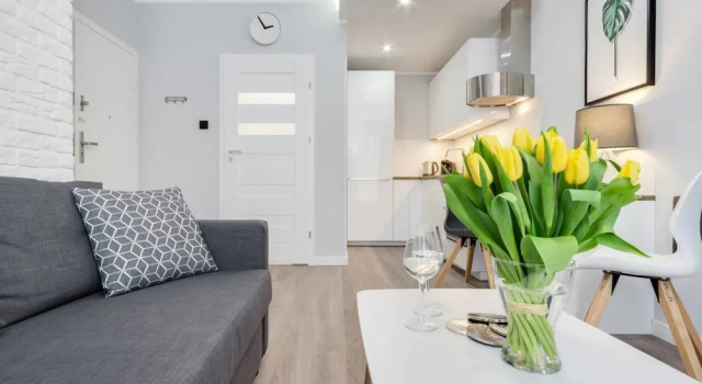 Apartment Modern Studio Apartment