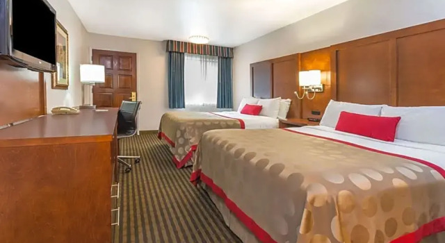 Четырёхместный номер Standard Needham House Hotel