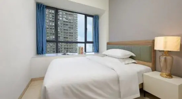 Люкс Business Austin Executive Apartment (Shenzhen Longgang Baolong Metro Station)