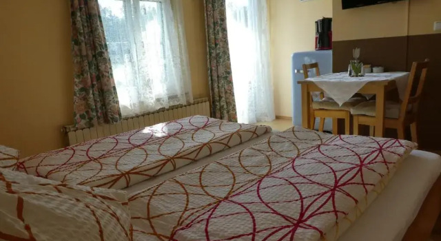 Студия Standard с балконом Haus Daheim