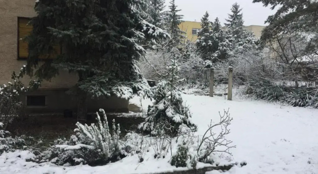 Next to university