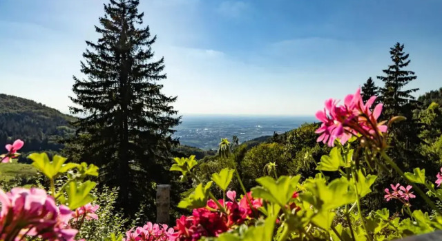 Haus Schauinsland, Buchen Sie Hotel Sasbachwalden Schwarzwald