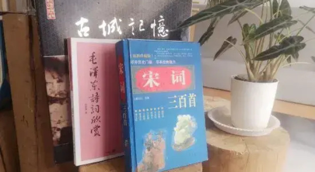 Waterside Flower Lane Homestay, Book Hotel Kaifeng Henan