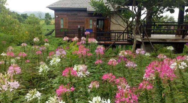 Полулюкс Buraphat Resort