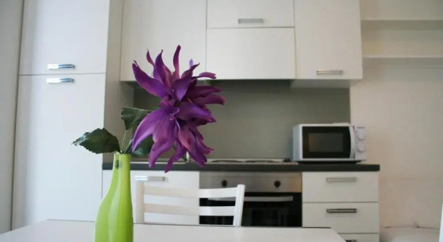 Апартаменты Residence Fanny