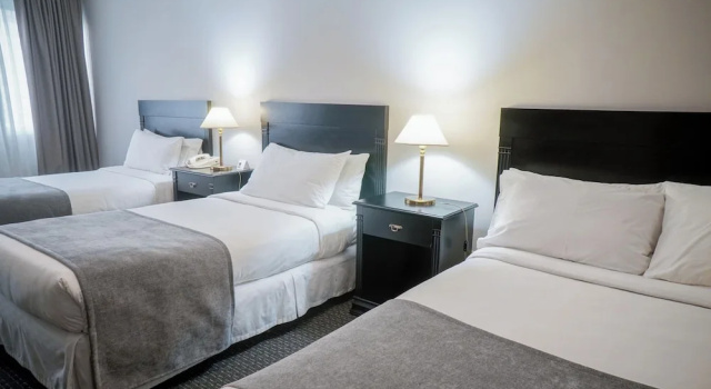 Трёхместный семейный номер Standard Plaza Real Suites Hotel
