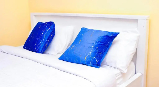The Porche Naivasha 2bedroom Apartment