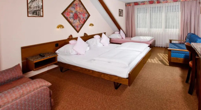 Трёхместный номер Standard Hotel Baslertor