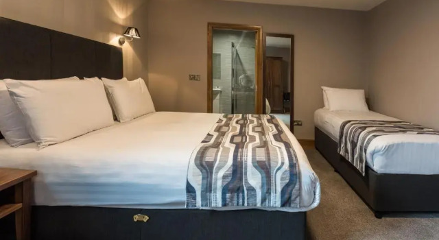 Одноместный номер Standard Springfield Hotel