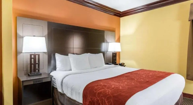 Люкс Comfort Suites Lake Jackson Clute
