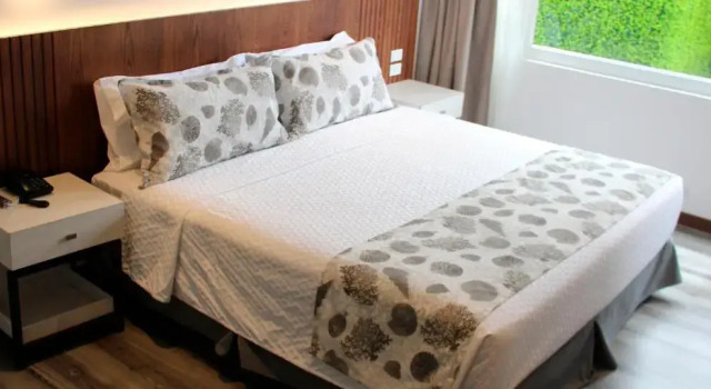 Номер Deluxe Hotel Ajavi