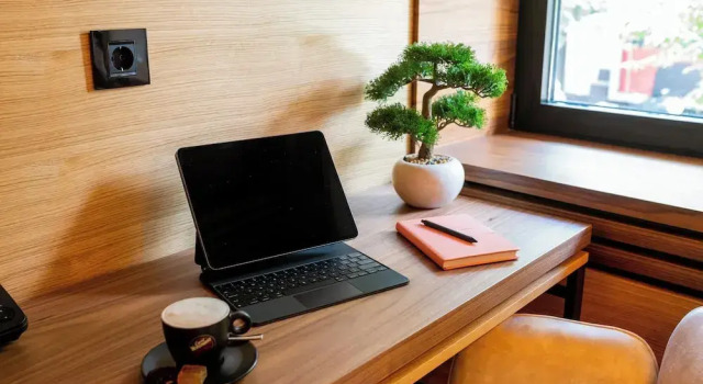 Люкс Business Hanami Design Hotel