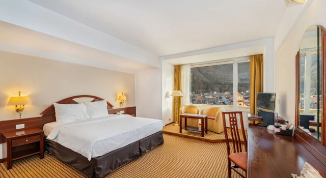 Двухместный номер Executive Hotel Aro Palace