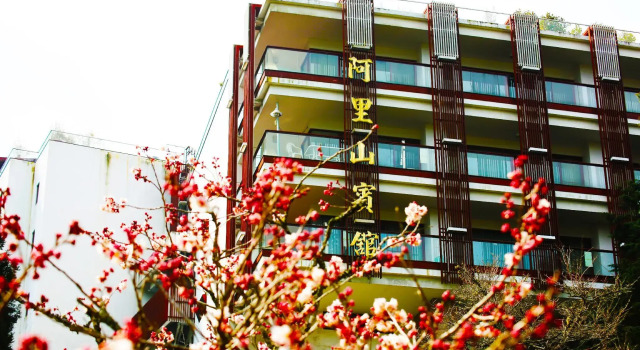 Номер Standard Дуплекс Alishan Hotel