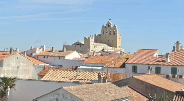 Hôtel Les Palmiers en Camargue