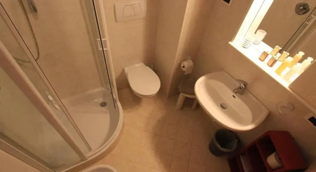 Номер Standard Hotel Rosalpina