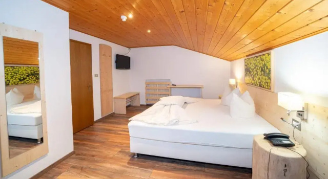 Номер Standard Hotel Profanter
