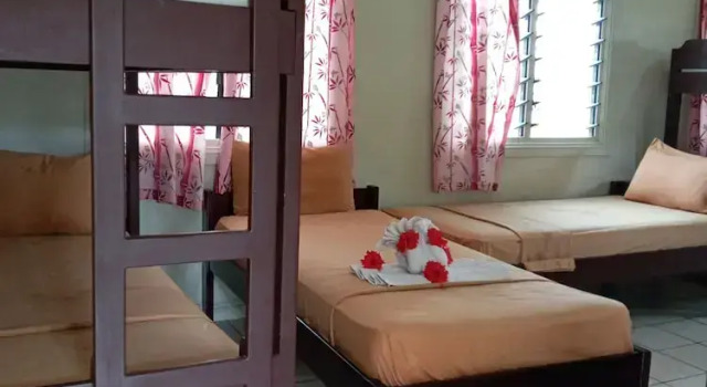 Кровать в общем номере Tropicana Motel & Backpackers