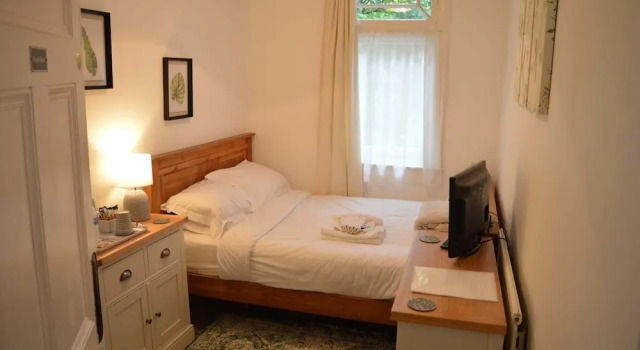 Economy Zimmer Owl House