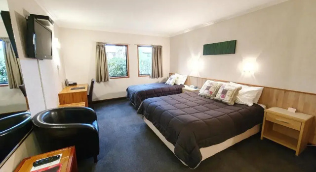 Двухместная студия Fitzherbert Castle Motel