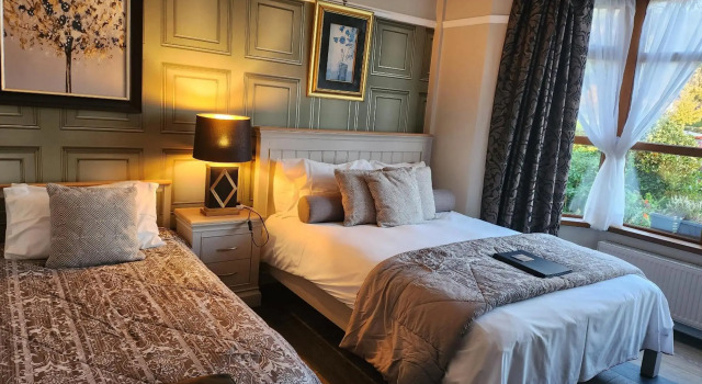 The Oystercatcher, Book Hotel Rostrevor Mourne Mountains