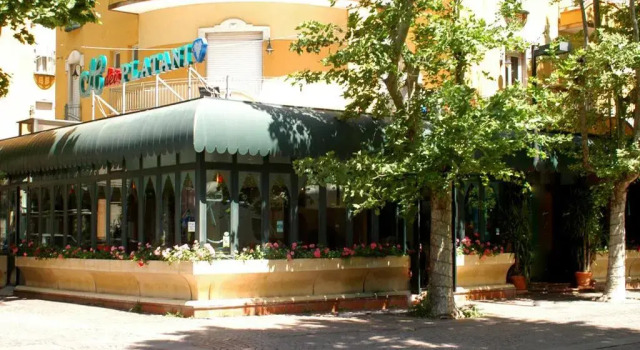 Hotel Dei Platani