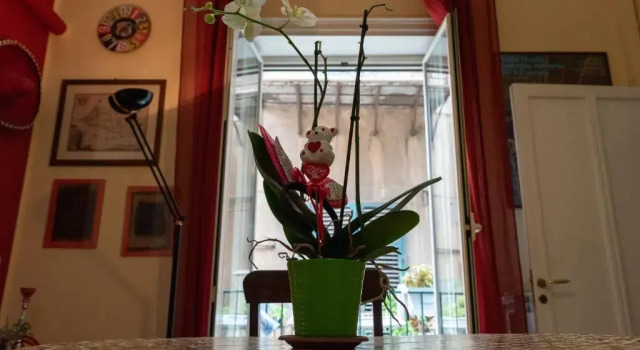Nuovo Cortile Palermo Bed and Breakfast