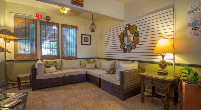 The Lazy Parrot Inn
