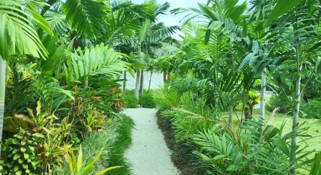 Бунгало Tanna Evergreen Resort & Tours