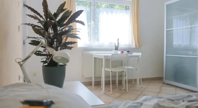 Апартаменты Apartment with easy access to downtown and park