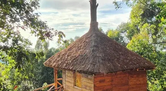 Двухместный номер Standard с балконом Agandi Uganda Eco-lodges