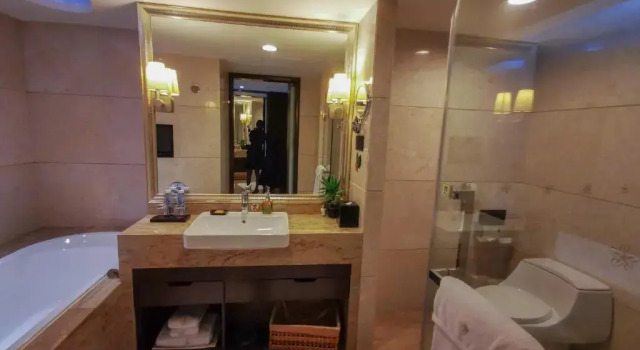 Двухместный номер Executive The Pavilion Hotel Shenzhen