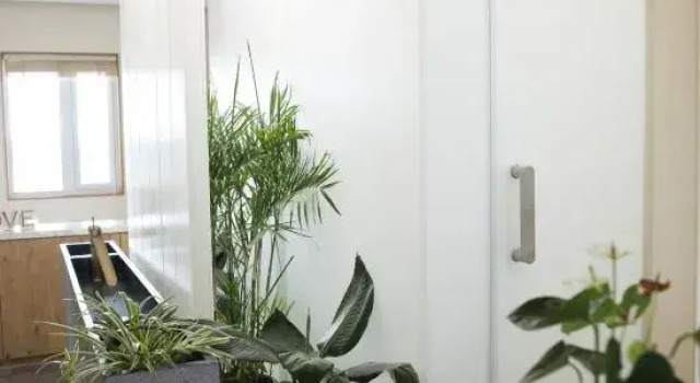 Люкс Hongyue Garden Homestay