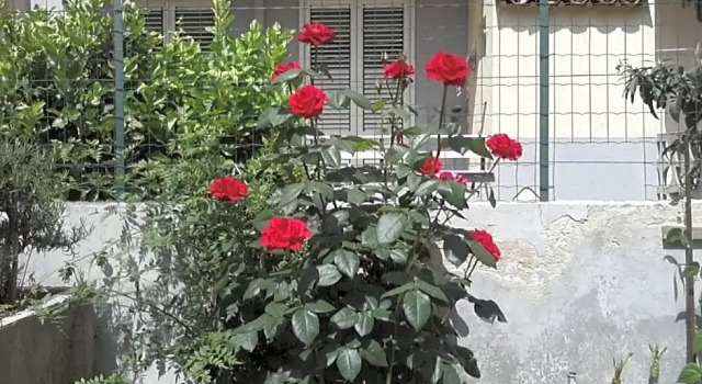 Al Camedrio, Book Hotel Hotels in Sicily with Parking, Parking