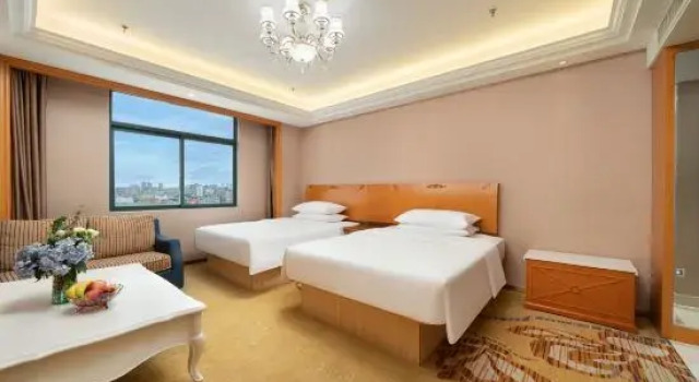 Семейный люкс Vienna Hotel (Nanning Anji Wanda 33rd Middle School Subway Station)